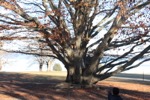 resIMG_20181123_143346_0463.JPG